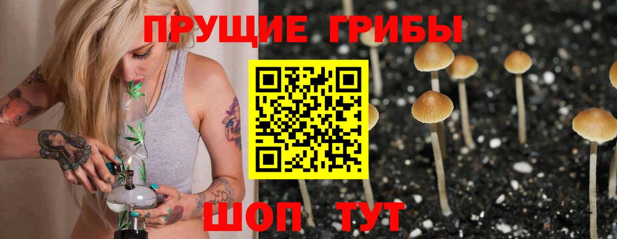 Галлюциногенные грибы MAGIC MUSHROOMS Ржев